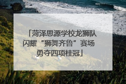 菏泽思源学校龙狮队闪耀“狮舞齐鲁”赛场 勇夺四项桂冠