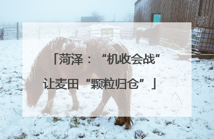 菏泽：“机收会战”让麦田“颗粒归仓”