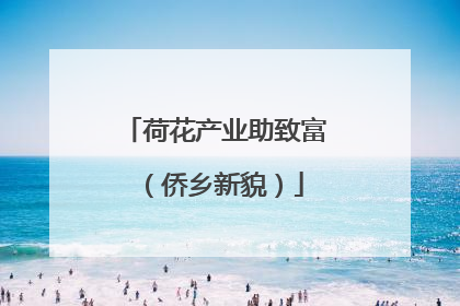 荷花产业助致富（侨乡新貌）
