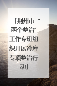 荆州市“两个整治”工作专班组织开展冷库专项整治行动