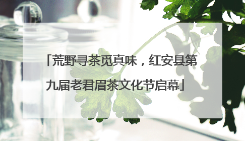 荒野寻茶觅真味，红安县第九届老君眉茶文化节启幕