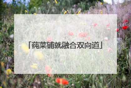 莼菜铺就融合双向道