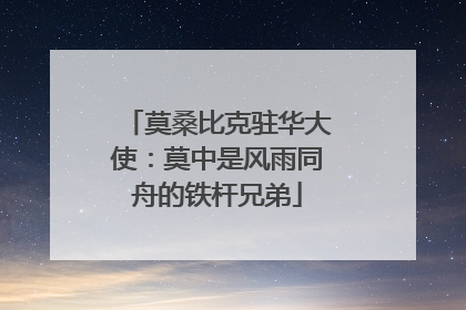 莫桑比克驻华大使：莫中是风雨同舟的铁杆兄弟
