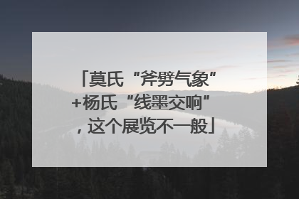 莫氏“斧劈气象”+杨氏“线墨交响”，这个展览不一般