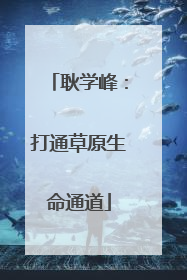 耿学峰：打通草原生命通道