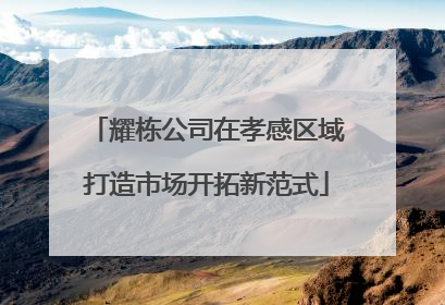 耀栋公司在孝感区域打造市场开拓新范式