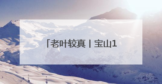 老叶较真丨宝山1604路公交车增设两个临时停靠站