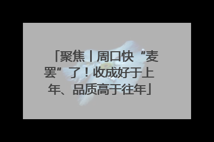 聚焦丨周口快“麦罢”了！收成好于上年、品质高于往年