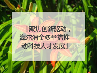 聚焦创新驱动，海尔消金多举措推动科技人才发展