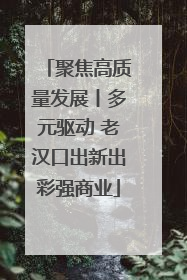聚焦高质量发展丨多元驱动 老汉口出新出彩强商业