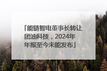 能链智电董事长转让团油科技，2024年年报至今未能发布
