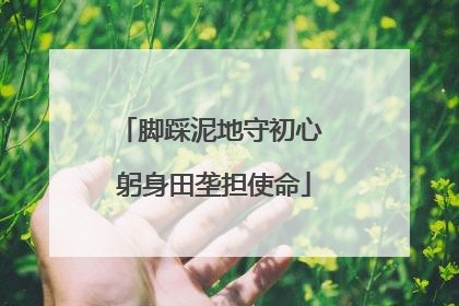 脚踩泥地守初心 躬身田垄担使命