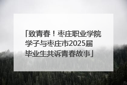 致青春！枣庄职业学院学子与枣庄市2025届毕业生共诉青春故事