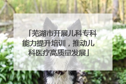 芜湖市开展儿科专科能力提升培训，推动儿科医疗高质量发展