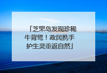 芝罘岛发现珍稀牛背鹭！政民携手护生灵重返自然