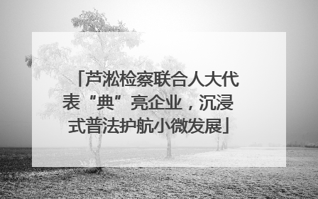 芦淞检察联合人大代表“典”亮企业，沉浸式普法护航小微发展