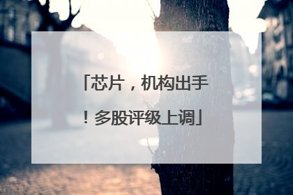 芯片，机构出手！多股评级上调