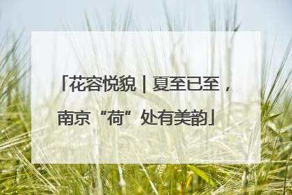 花容悦貌｜夏至已至，南京“荷”处有美韵