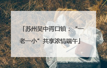苏州吴中胥口镇：“一老一小”共享浓情端午