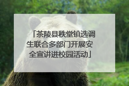 茶陵县秩堂镇选调生联合多部门开展安全宣讲进校园活动