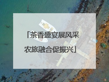 茶香盛宴展风采 农旅融合促振兴