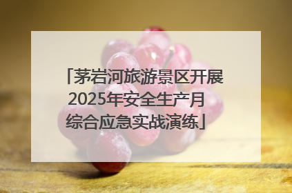 茅岩河旅游景区开展2025年安全生产月综合应急实战演练