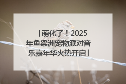 萌化了！2025年鱼梁洲宠物派对音乐嘉年华火热开启
