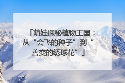 萌娃探秘植物王国：从“会飞的种子”到“善变的绣球花”