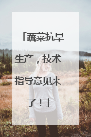蔬菜抗旱生产，技术指导意见来了！