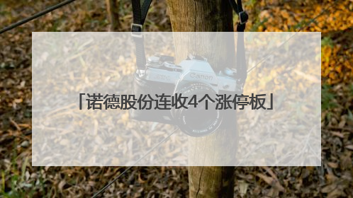 诺德股份连收4个涨停板