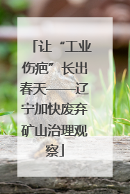 让“工业伤疤”长出春天——辽宁加快废弃矿山治理观察