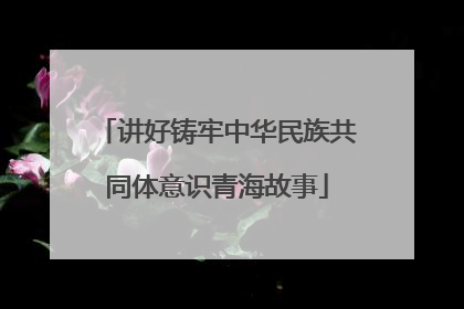讲好铸牢中华民族共同体意识青海故事