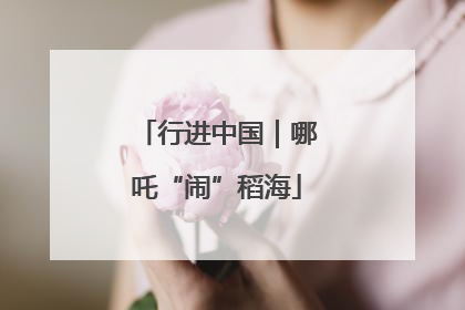 行进中国｜哪吒“闹”稻海