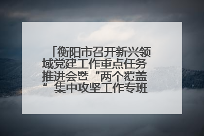 衡阳市召开新兴领域党建工作重点任务推进会暨“两个覆盖”集中攻坚工作专班 第一次会议