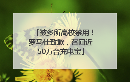 被多所高校禁用！罗马仕致歉，召回近50万台充电宝