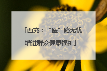 西充：“医”路无忧 增进群众健康福祉