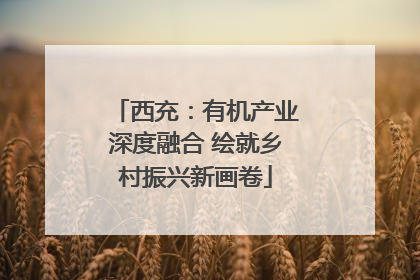 西充：有机产业深度融合 绘就乡村振兴新画卷