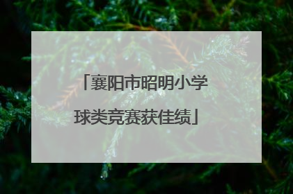 襄阳市昭明小学球类竞赛获佳绩