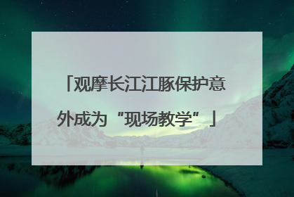 观摩长江江豚保护意外成为“现场教学”