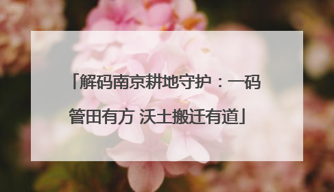 解码南京耕地守护：一码管田有方 沃土搬迁有道