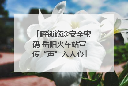 解锁旅途安全密码 岳阳火车站宣传“声”入人心