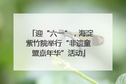 迎“六一”，海淀紫竹院举行“非遗童盟嘉年华”活动