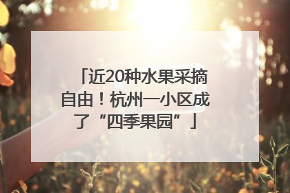 近20种水果采摘自由！杭州一小区成了“四季果园”