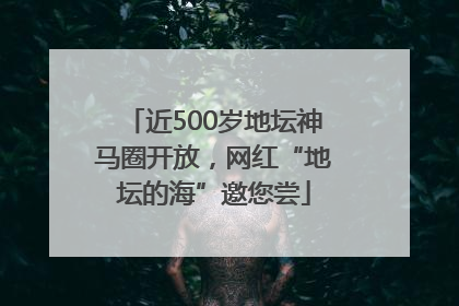 近500岁地坛神马圈开放，网红“地坛的海”邀您尝