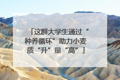 这群大学生通过“种养循环”助力小麦质“升”量“高”