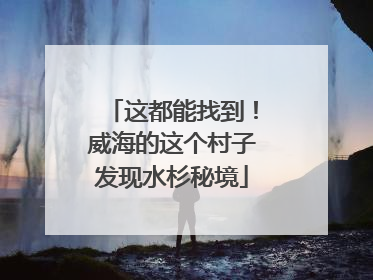 这都能找到！威海的这个村子发现水杉秘境