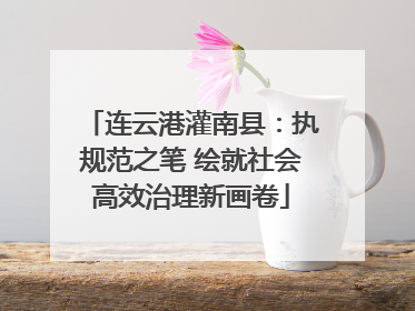 连云港灌南县：执规范之笔 绘就社会高效治理新画卷
