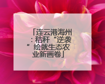 连云港海州：秸秆“逆袭”绘就生态农业新画卷