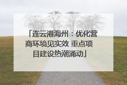 连云港海州：优化营商环境见实效 重点项目建设热潮涌动