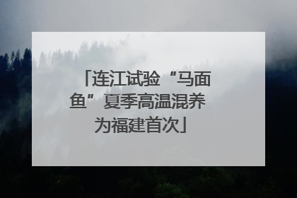 连江试验“马面鱼”夏季高温混养 为福建首次
